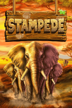Stampede