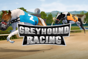 Greyhound Racing