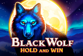 Black Wolf