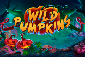 Wild pumpkins thumbnail
