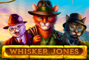 Play Whisker jones