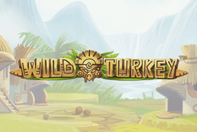 Wild turkey thumbnail