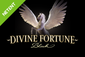 Divine Fortune Black