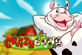 Crazy Cows Mobile