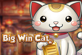 Big Win Cat Mobile