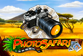 Photo Safari