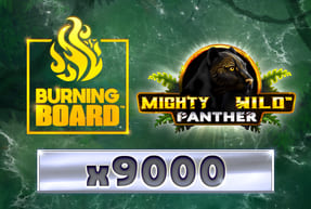 Mighty Wild: Panther Diamond Burning Board