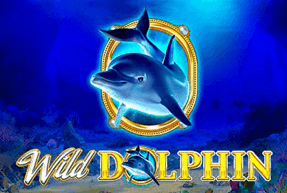 Wild dolphin thumbnail