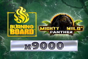 Play Mighty Wild™ Panther Platinum Burning Board™