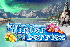 Winterberries thumbnail