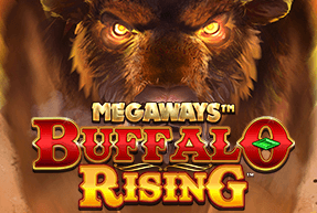 Buffalo rising megaways thumbnail