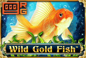 Play Wild Gold Fish