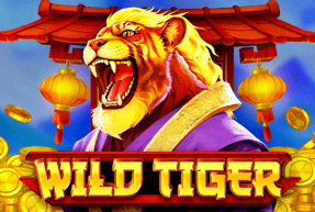 Wild tiger thumbnail