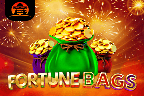 Play Fortune Bags