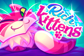 Rich kittens thumbnail
