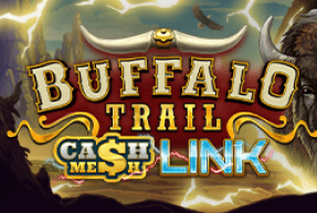 Buffalo trail - cash mesh link thumbnail