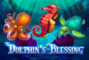 Dolphin’s blessing thumbnail