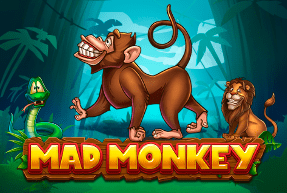 Mad monkey thumbnail