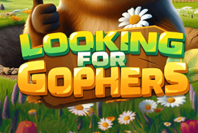 Looking for Gophers