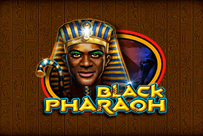 Black pharaoh thumbnail