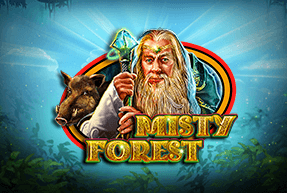 Misty forest thumbnail