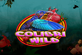 Colibri wild thumbnail