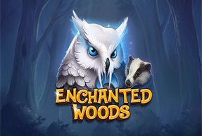 Enchanted Woods