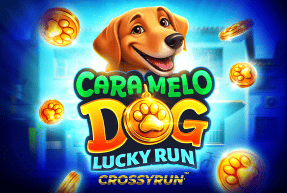 Caramelo Dog: Lucky Run
