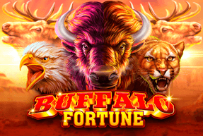 Buffalo fortune thumbnail