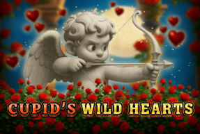 Cupids Wild Hearts
