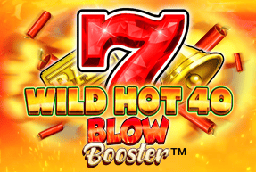 Wild Hot 40 Blow Booster