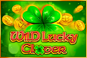 Wild lucky clover thumbnail