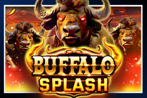 Buffalo Splash