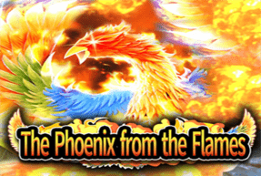The Phoenix from the Flames