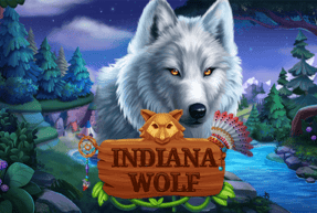 Play Indiana Wolf