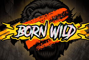 Born wild  thumbnail