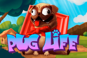 Pug life thumbnail
