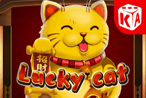 Lucky cat thumbnail