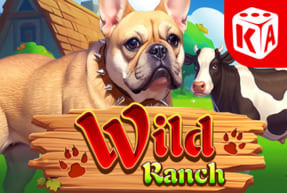 Play Wild Ranch