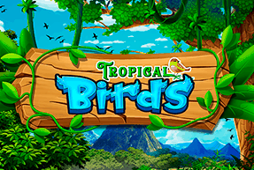 Tropical birds thumbnail