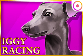 Iggy racing thumbnail