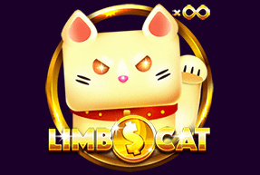 Limbo cat thumbnail