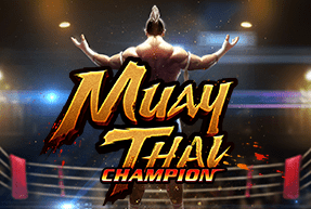 Muay thai champion thumbnail