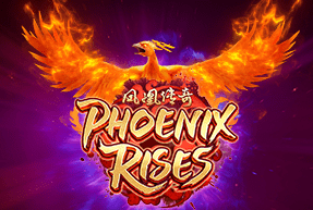 Phoenix rises thumbnail