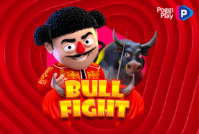 Bull Fight