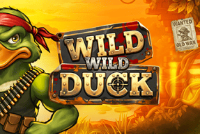 Wild wild duck thumbnail