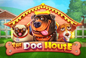 The dog house thumbnail
