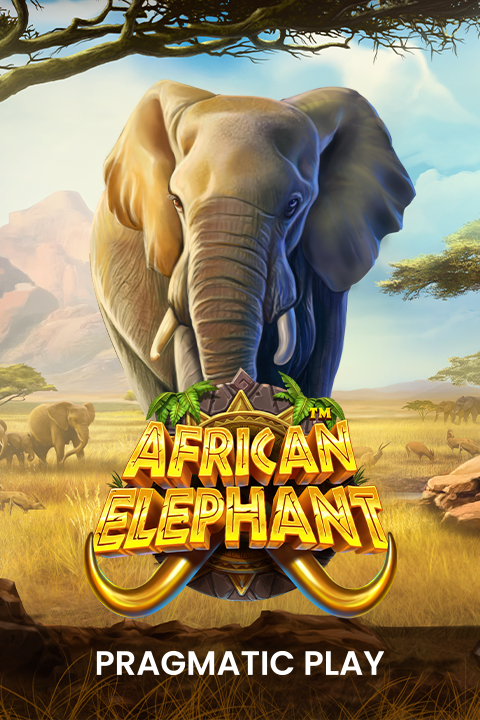 African Elephant