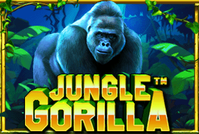 Jungle gorilla thumbnail