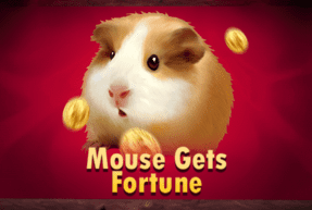 Mouse Gets Fortune